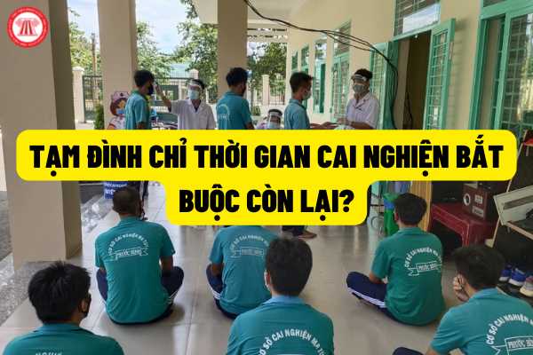 Quy định về tạm đình chỉ chấp hành thời gian cai nghiện bắt buộc còn lại đối với người từ đủ 12 tuổi đến dưới 18 tuổi theo Pháp lệnh 01/2022/UBTVQH15?