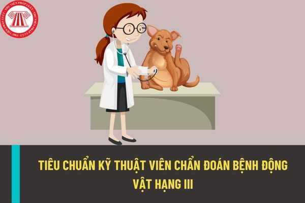 Làm thế nào để phát triển năng lực kỹ thuật của bản thân?
