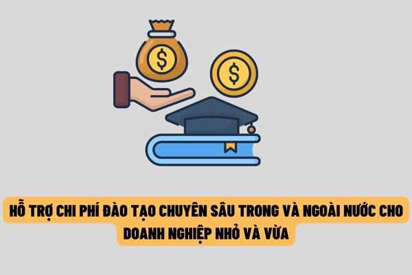 Từ ngày 25/6/2022 sẽ hỗ trợ tiền học phí, đi lại, ăn ở đối với học viên của doanh nghiệp nhỏ và vừa tham gia đào tạo, huấn luyện chuyên sâu trong và ngoài nước?