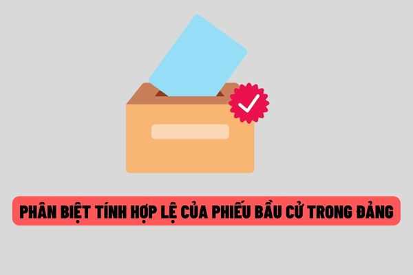 Phân biệt phiếu bầu cử hợp lệ và phiếu bầu cử không hợp lệ trong bầu cử Đảng Cộng sản Việt Nam?