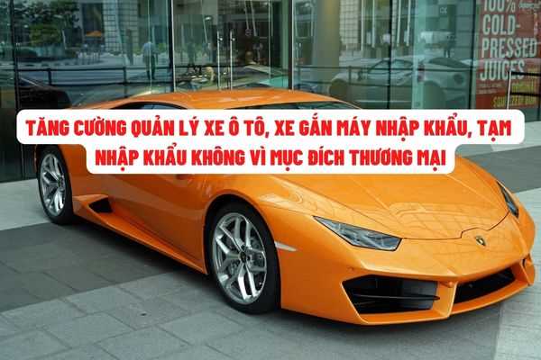 Tổng cục Hải quan yêu cầu tăng cường công tác quản lý xe ô tô nhập khẩu, tạm nhập khẩu không vì mục đích thương mại?