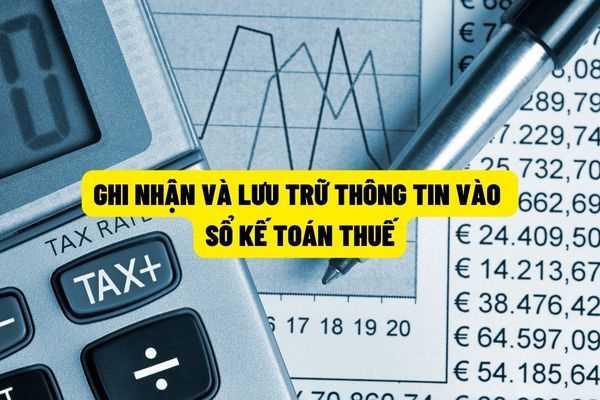 Cơ quan thuế tiến hành ghi nhận và lưu trữ thông tin về số tiền thuế mà người nộp thuế đã nộp và sẽ nộp như thế nào?