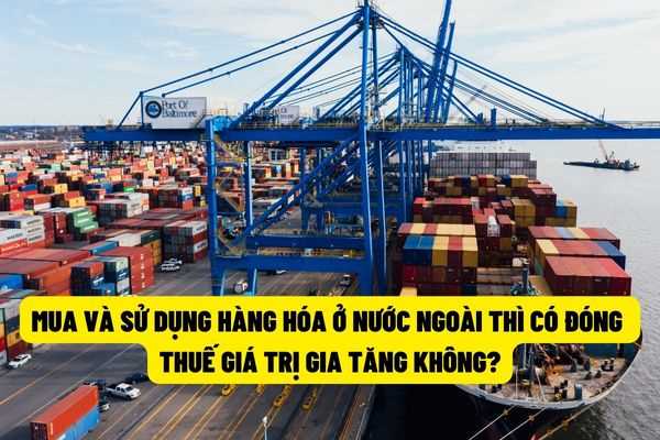 Công ty ở Việt Nam mua và sử dụng hàng hóa ở nước ngoài, không nhập khẩu vào Việt Nam thì có phải chịu thuế nhập khẩu và thuế giá trị gia tăng không?