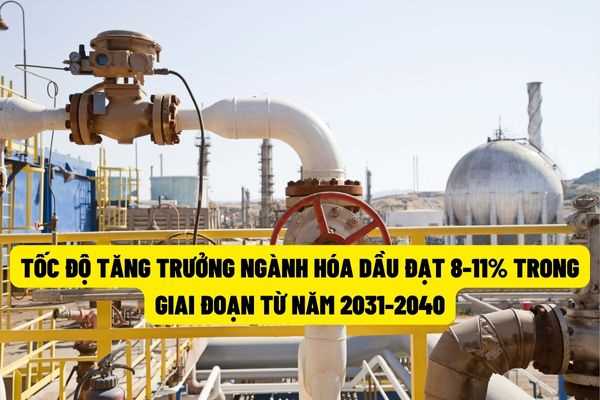 Việt Nam: Tốc độ tăng trưởng ngành công nghiệp hóa dầu đạt từ 8-11% vào giai đoạn năm 2031-2040?