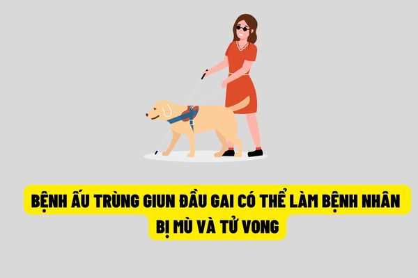 Cảnh báo: Bệnh ấu trùng giun đầu gai có thể làm bệnh nhân bị mù và dẫn đến nguy cơ tử vong?