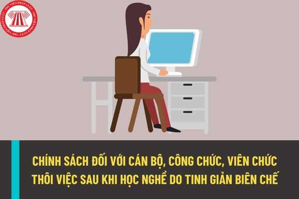 Cán bộ, công chức, viên chức thôi việc sau khi học nghề theo quyết định tinh giản biên chế được hưởng chính sách nào?