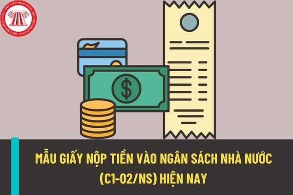 Hướng dẫn cách kê khai thông tin trên giấy nộp tiền vào ngân sách nhà nước (mẫu C1-02/NS) như thế nào?