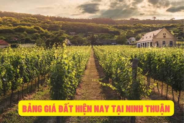 Bảng giá đất trên địa bàn tỉnh Ninh Thuận giai đoạn năm 2020 đến năm 2024 được quy định như thế nào?