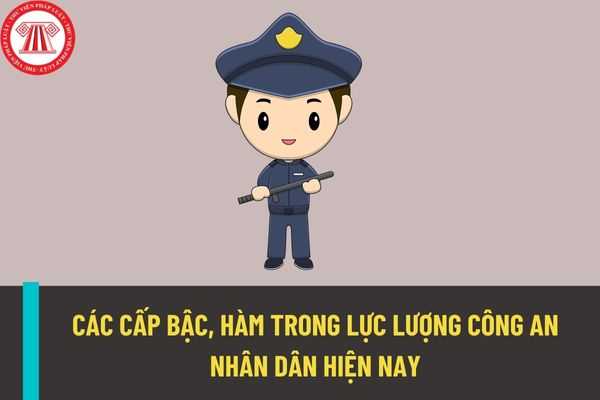 Lực lượng công an nhân dân gồm có những cấp bậc nào? Hệ thống tổ chức của lực lượng công an nhân dân được quy định như thế nào?