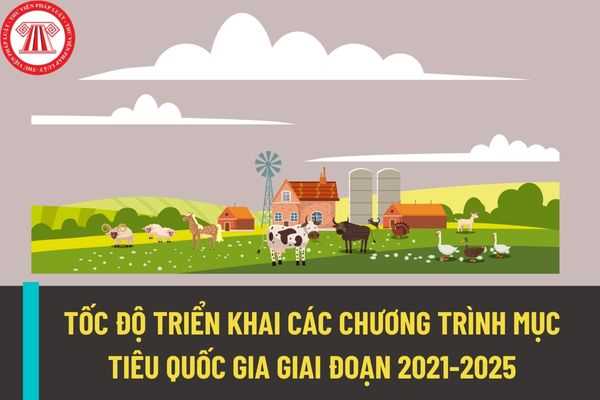 Tốc độ triển khai các chương trình mục tiêu quốc gia giai đoạn 2021-2025 như nông thôn mới, giảm nghèo bền vững diễn ra như thế nào?