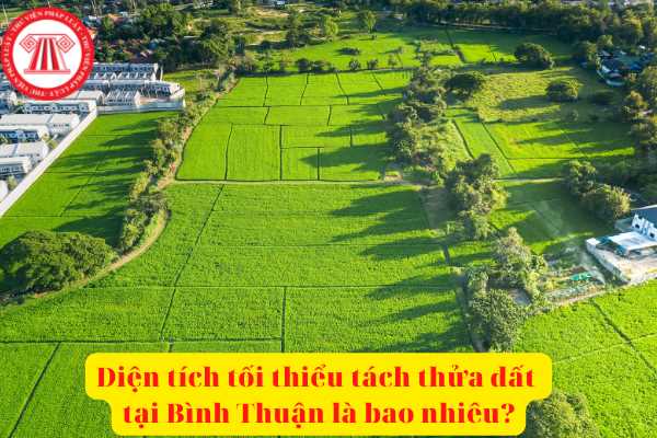 Quy định về tách thửa đất tại tỉnh Bình Thuận như thế nào? Diện tích tối thiếu tách thửa đối với từng loại đất tại tỉnh Bình Thuận từ ngày 10/9/2021 là bao nhiêu mét vuông?