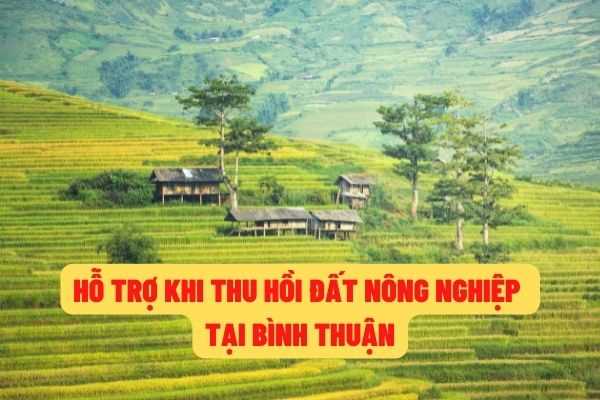 Hộ gia đình, cá nhân tại Bình Thuận bị thu hồi đất nông nghiệp thì có được hỗ trợ chuyển đổi ngành nghề không?