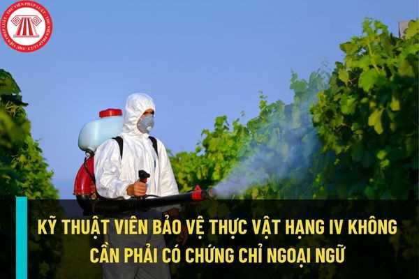 Kỹ thuật viên bảo vệ thực vật hạng IV có cần chứng chỉ ngoại ngữ theo quy định từ ngày 6/10/2022 không?