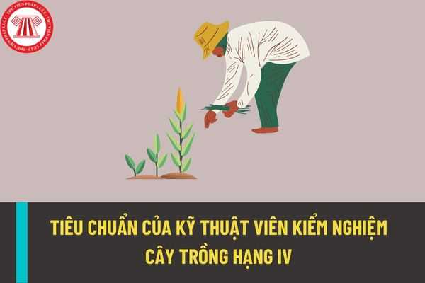 Bổ sung tiêu chuẩn về năng lực chuyên môn, nghiệp vụ đối với kỹ thuật viên kiểm nghiệm cây trồng hạng IV trong thời gian tới?