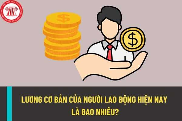 Lương cơ bản là gì? Mức lương cơ bản của người lao động, cán bộ, công chức hiện nay là bảo nhiêu một tháng?