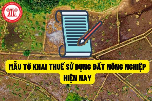 Mẫu tờ khai thuế sử dụng đất nông nghiệp mới nhất theo quy định của pháp luật hiện hành?