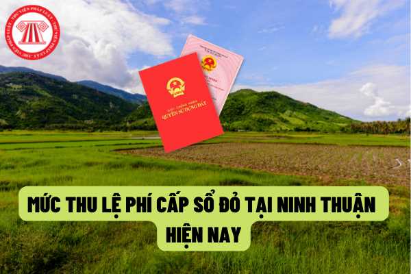 Quy định về lệ phí cấp Giấy chứng nhận quyền sử dụng đất, quyền sở hữu nhà ở và tài sản gắn liền với đất trên địa bàn tỉnh Ninh Thuận hiện nay?