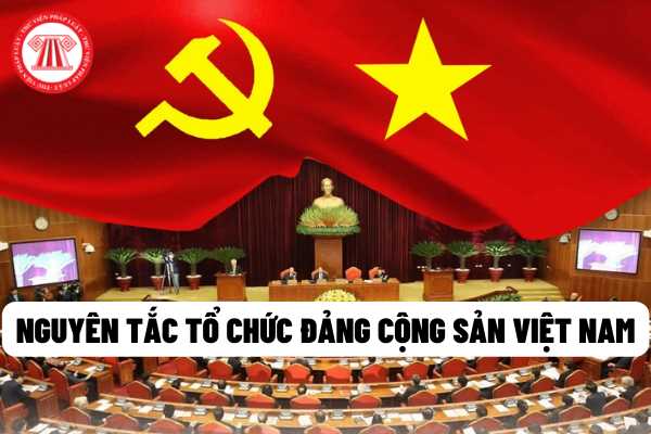 Đảng Cộng sản Việt Nam được tổ chức theo nguyên tắc nào? Việc phê bình và tự phê bình được thực hiện như thế nào?