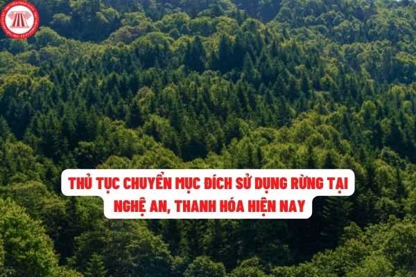 Thủ tục chuyển mục đích sử dụng rừng sang mục đích khác tại các tỉnh Thanh Hóa, Nghệ An được quy định thế nào?