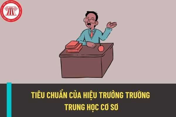 Hiệu trưởng sẽ có những nhiệm vụ và quyền hạn gì theo điều lệ trường THCS? Tiêu chuẩn để được bổ nhiệm hiệu trưởng theo điều lệ trường THCS?