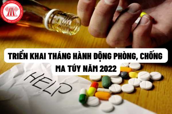 Văn phòng Chính phủ triển khai kế hoạch tháng hành động phòng, chống ma túy năm 2022 như thế nào?