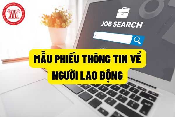 Mẫu phiếu thông tin về người lao động gồm những nội dung gì trong chương trình mục tiêu quốc gia giảm nghèo bền vững giai đoạn 2021-2025?