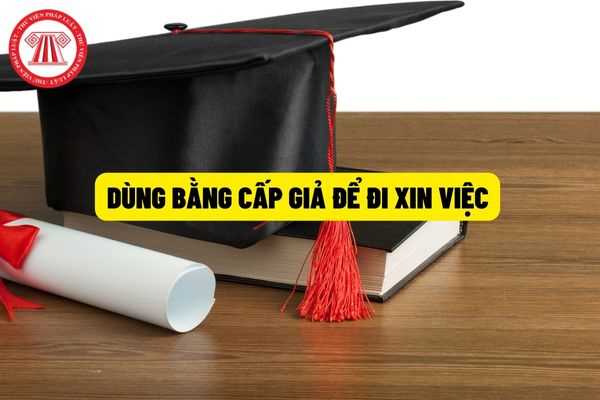 Sử dụng chứng chỉ, văn bằng giả để đi xin việc sẽ bị xử lý như thế nào? Biện pháp khắc phụ hậu quả đối với hành vi sử dụng chứng chỉ, văn bằng giả?