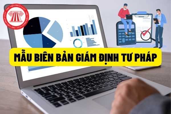 Điểm mới trong lĩnh vực giám định tư pháp và thực hiện hoạt động giám định tư pháp trong lĩnh vực văn hóa gồm những gì?