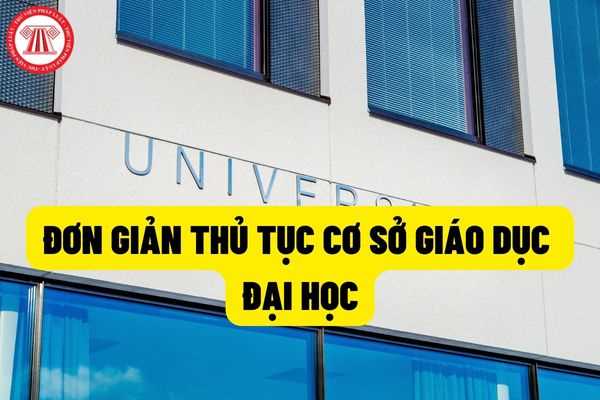 Hoạt động giáo dục đối với cơ sở giáo dục đại học, phân hiệu của cơ sở giáo dục đại học có vốn đầu tư nước ngoài tại Việt Nam được bổ sung như thế nào?