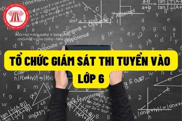 Tổ chức thi tuyển sinh vào lớp 6 trường THPT chuyển amsterdam theo Công văn 1428/SGDĐT-QLT như thế nào?