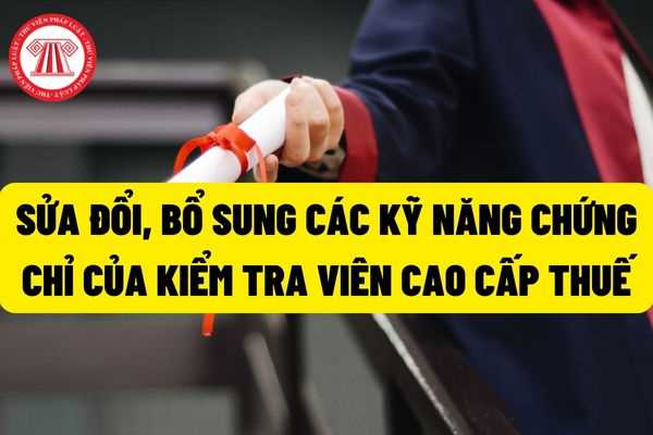 Kiểm tra viên cao cấp: Sửa đổi, bổ sung quy định kỹ năng sử dụng công nghệ thông tin cơ bản, sử dụng được ngoại ngữ và các chứng chỉ đào tạo?