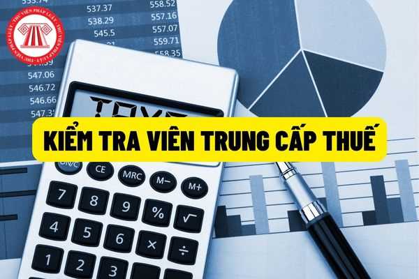 Kiểm tra viên trung cấp thuế: Quy định sửa đổi, bổ sung, bãi bỏ một số các quy định về kiểm tra viên trung cấp thuế?