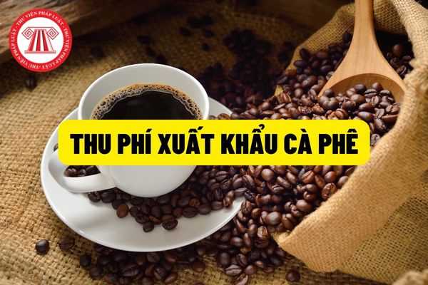 Thu phí xuất khẩu cà phê: Thủ tục xuất khẩu cà phê và thực hiện thu phí cà phê theo từng lần? Thu tiền để đóng niên liễm của Hiệp hội Cà phê Ca cao Việt Nam?