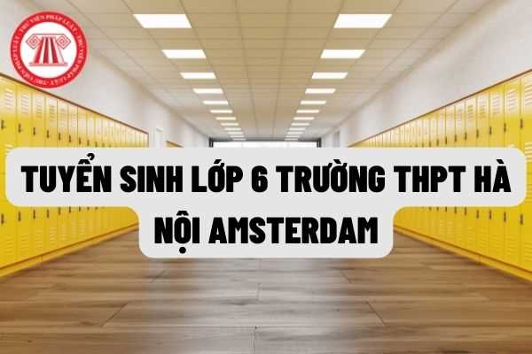 Tuyển sinh trường THPT Amsterdam-Hà Nội: Lịch tuyển sinh và hoạt động kiểm tra khi thực hiện tuyển sinh vào lớp 6 chuyên Hà nội - Amsterdam như thế nào?