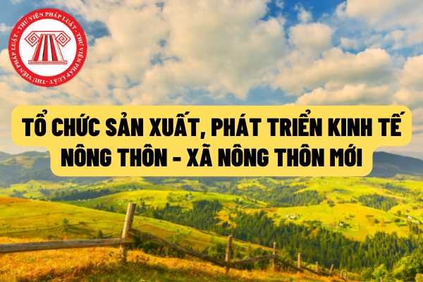 Yêu cầu cần đáp ứng để đạt tiêu chí “Tổ chức sản xuất và phát triển kinh tế nông thôn” đối với xã nông thôn mới 2021 – 2025 như thế nào?