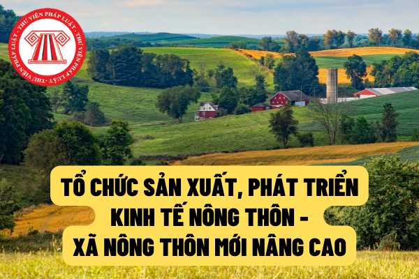 Hiệu quả từ các mô hình xã nông thôn mới nâng cao ở Hà Nội