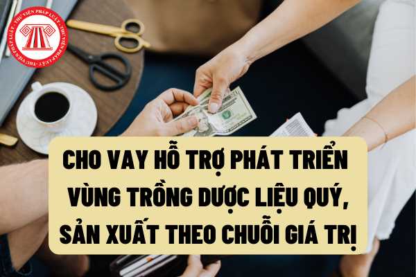 Chính sách ưu đãi dành cho vùng đồng bào dân tộc thiểu số và miền núi giai đoạn 2021 – 2030: Cho vay đầu tư, hỗ trợ phát triển vùng trồng dược liệu quý?