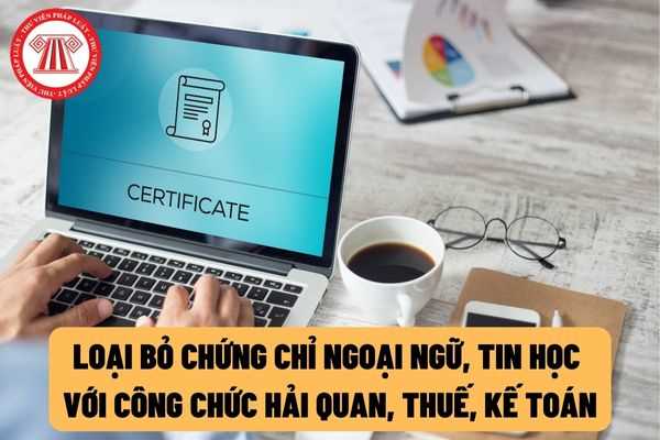 Từ ngày 18/7/2022, bỏ chứng chỉ ngoại ngữ, tin học đối với công chức chuyên ngành kế toán, thuế, hải quan?