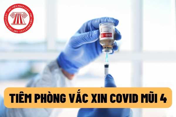 Hà Nội triển khai tiêm vắc xin phòng COVID-19 liều nhắc lại lần 2 (mũi 4) cho người từ 50 tuổi trở lên, người suy giảm miễn dịch từ 03/6/2022?