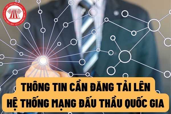 Tổng hợp tất cả thông tin cần đăng tải lên Hệ thống Mạng đấu thầu Quốc gia khi lựa chọn nhà thầu từ 01/08/2022? Thời hạn đăng tải thông tin là bao lâu?