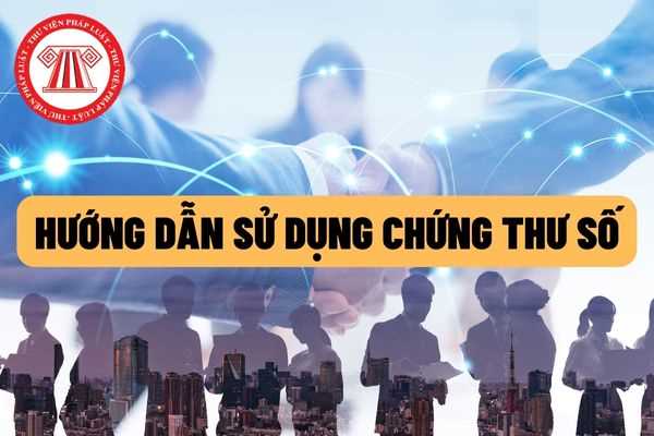 Thông tư 08/2022/TT-BKHĐT: Hướng dẫn sử dụng chứng thư số, gửi nhận văn bản điện tử trên hệ thống Mạng đấu thầu quốc gia?