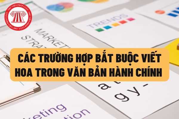 Hướng dẫn viết hoa trong văn bản hành chính đúng chuẩn và chuyên nghiệp