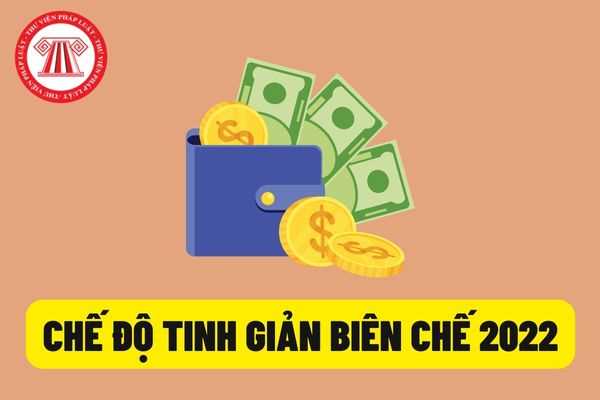 Toàn bộ chế độ tinh giản biên chế năm 2022 theo Nghị định 108 mà cán bộ, công chức, viên chức cần biết?