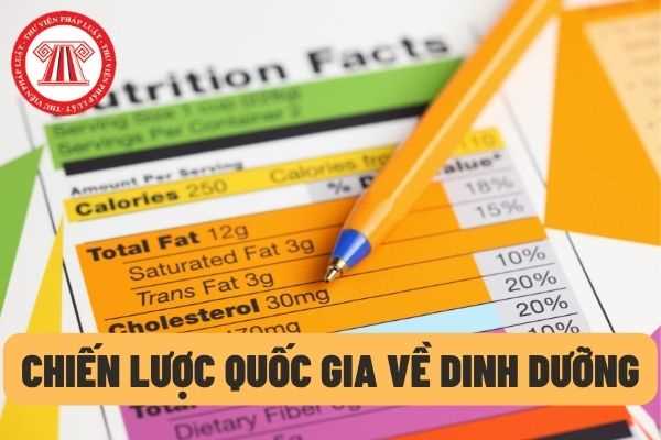 Giải pháp và các nhiệm vụ chủ yếu trong Kế hoạch hành động thực hiện Chiến lược Quốc gia về dinh dưỡng đến năm 2025?