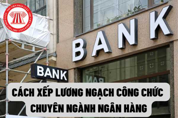 Ngân hàng Nhà nước Việt Nam quy định cách xếp lương ngạch công chức chuyên ngành ngân hàng theo Dự thảo mới?