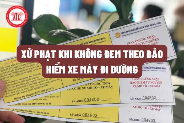 Không đem theo bảo hiểm xe máy khi đi trên đường thì bị xử phạt bao nhiêu tiền? Có bị hốt xe máy hay không?