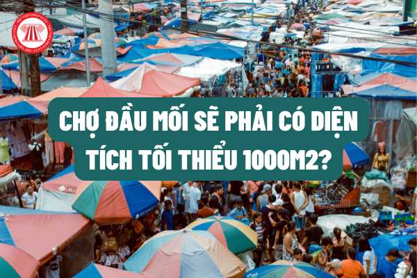 Chợ đầu mối là gì? Có phải sắp tới chợ đầu mối sẽ phải có diện tích tối thiểu 10.000m2 không?