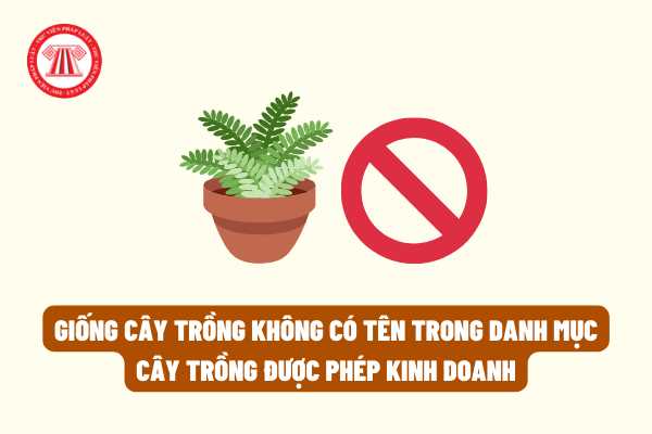 Xử lý khi sản xuất giống cây trồng không có tên trong danh mục cây trồng được phép kinh doanh như thế nào?