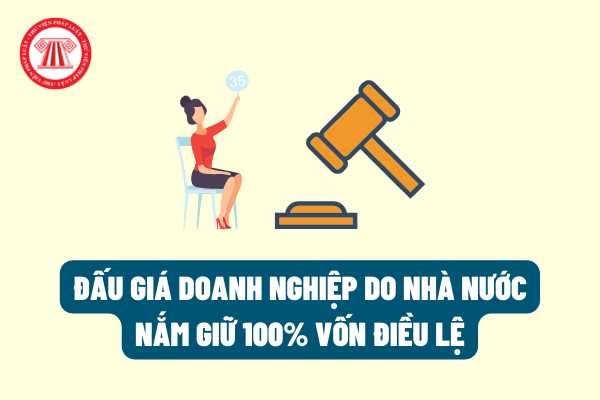 Đấu giá doanh nghiệp do Nhà nước nắm giữ 100% vốn điều lệ sẽ được thực hiện như thế nào theo Nghị định mới nhất năm 2022?