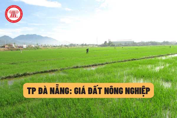 Giá đất nông nghiệp ở TP Đà Nẵng là bao nhiêu? Giá đất mà TP Đà Nẵng áp dụng sẽ được căn cứ để làm gì?
